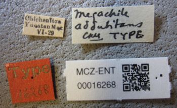 Media type: image;   Entomology 16268 Aspect: labels